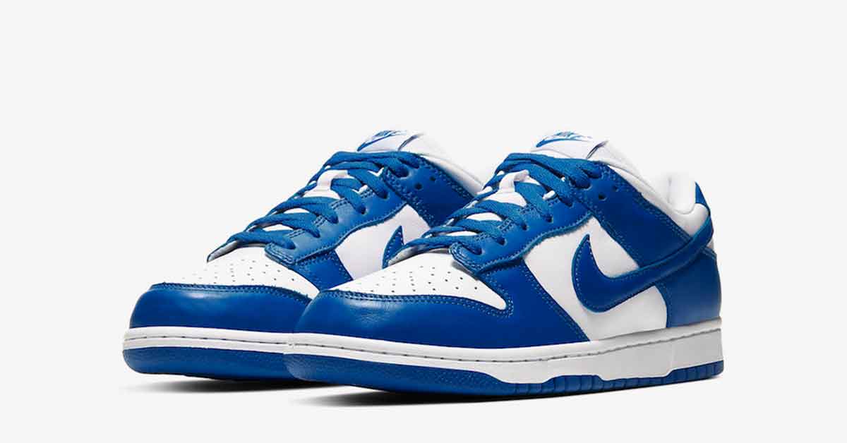 Nike Dunk Blå Hvid Cool