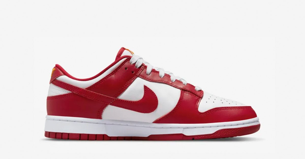 Nike Dunk Low Retro Rød Hvid DD1391-602